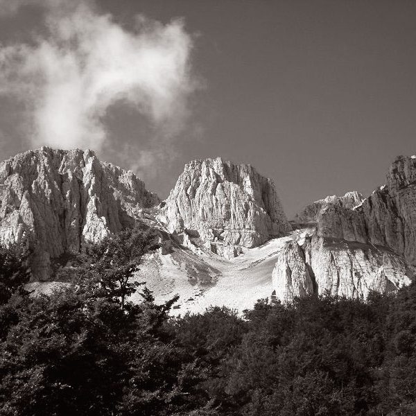 Enric Enric