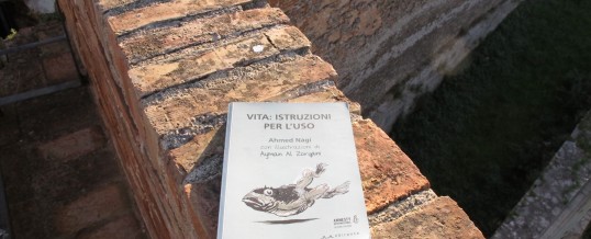 Giuseppe Iannozzi, 6 dicembre 2016<span class="wtr-time-wrap after-title"><span class="wtr-time-number">3</span>′ di lettura</span>