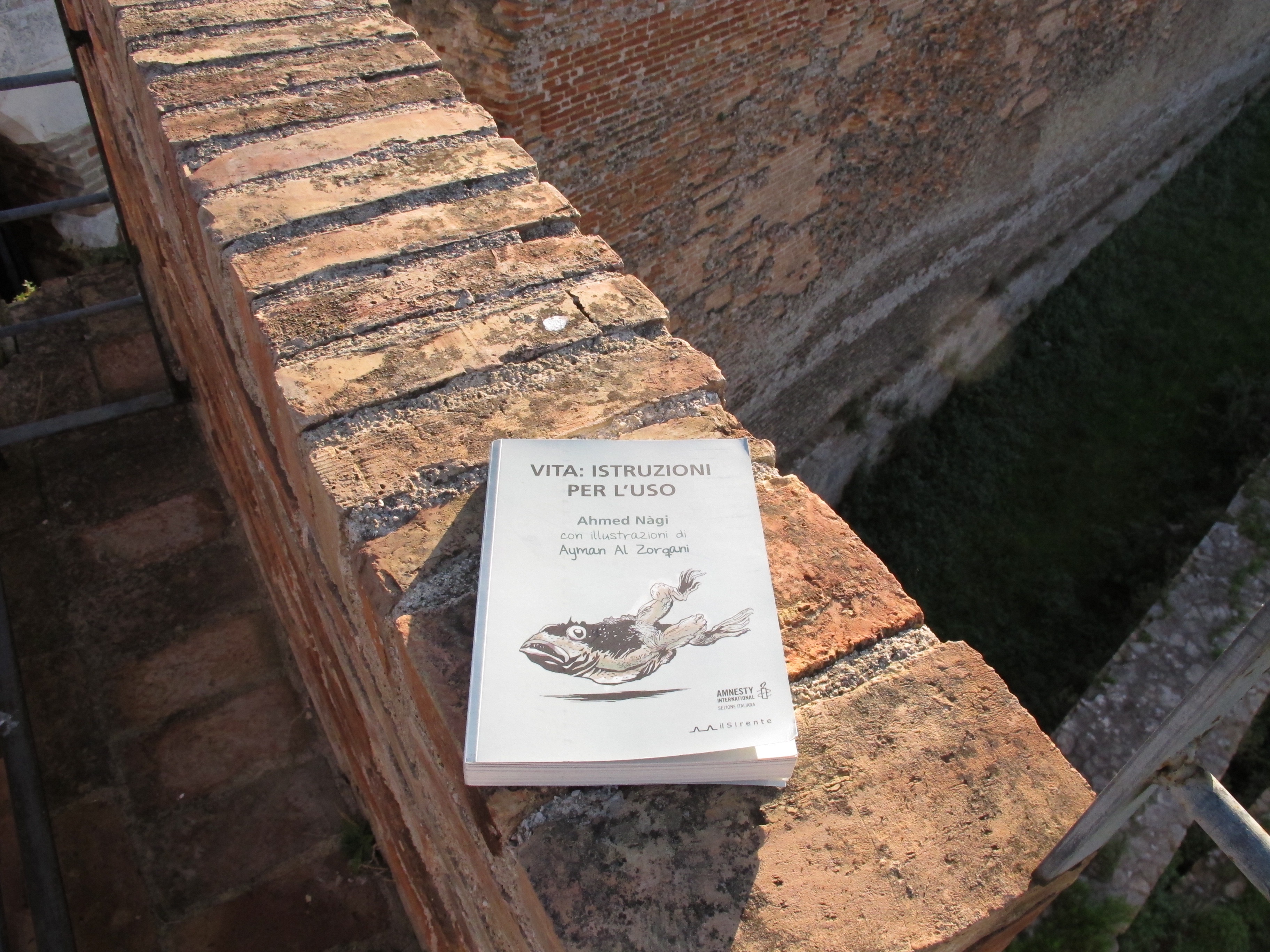 Giuseppe Iannozzi, 6 dicembre 2016